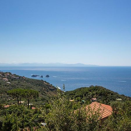 Geca'S House - Panoramic Sea View Studio Massa Lubrense Eksteriør billede